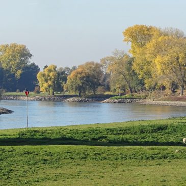 IJsselvallei